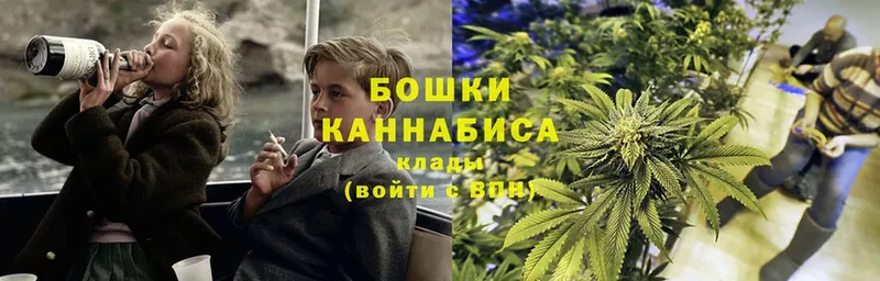 Бошки Шишки THC 21%  где купить наркоту  Крым 